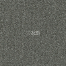 Ковровая плитка Modulyss Millennium Nxtgen Millennium Nxtgen 942 фото 1 | FLOORDEALER